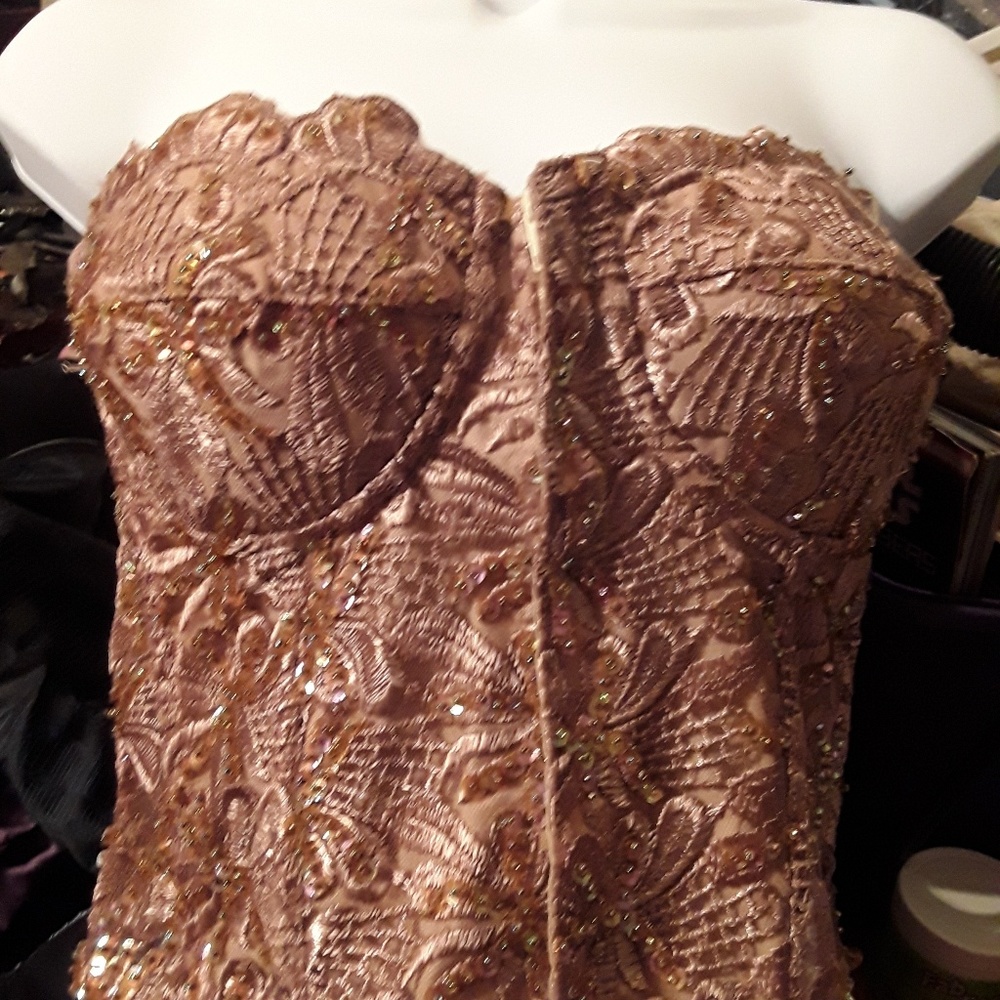 Vintage Gold Bling Corset